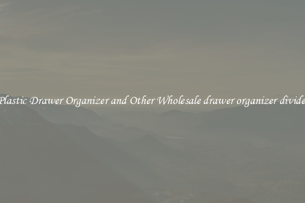 Plastic Drawer Organizer and Other Wholesale drawer organizer divider