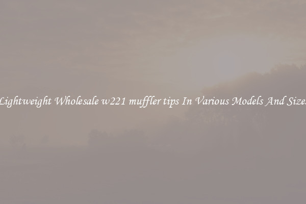 Lightweight Wholesale w221 muffler tips In Various Models And Sizes