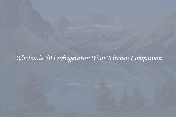 Wholesale 50 l refrigerator: Your Kitchen Companion