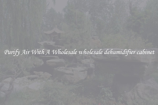 Purify Air With A Wholesale wholesale dehumidifier cabinet
