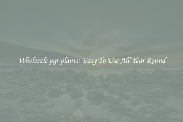 Wholesale pgr plants: Easy To Use All Year Round