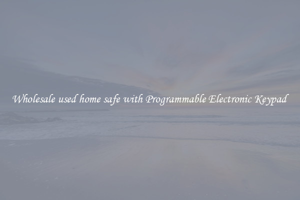 Wholesale used home safe with Programmable Electronic Keypad 