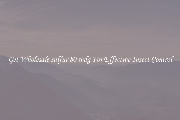 Get Wholesale sulfur 80 wdg For Effective Insect Control