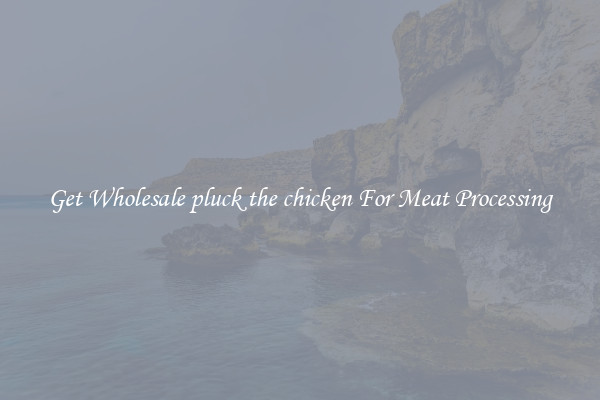 Get Wholesale pluck the chicken For Meat Processing