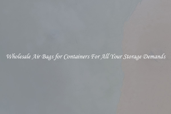 Wholesale Air Bags for Containers For All Your Storage Demands