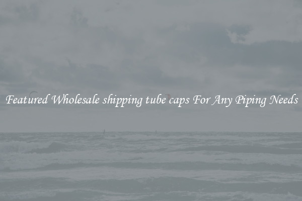 Featured Wholesale shipping tube caps For Any Piping Needs