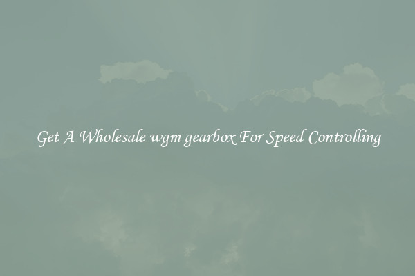Get A Wholesale wgm gearbox For Speed Controlling