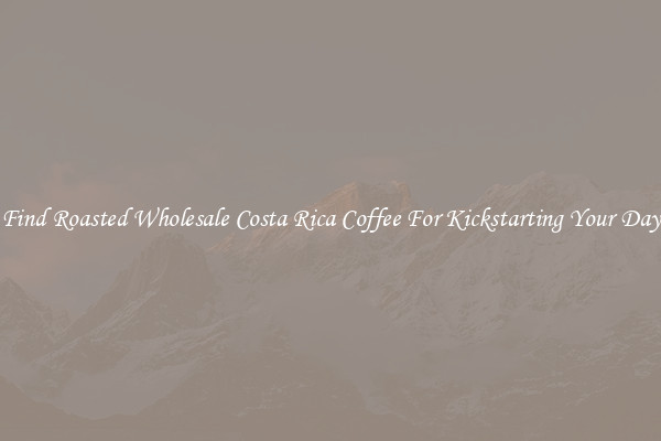 Find Roasted Wholesale Costa Rica Coffee For Kickstarting Your Day