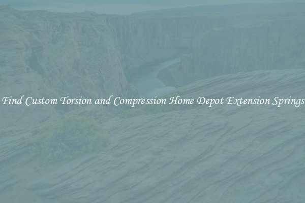 Find Custom Torsion and Compression Home Depot Extension Springs