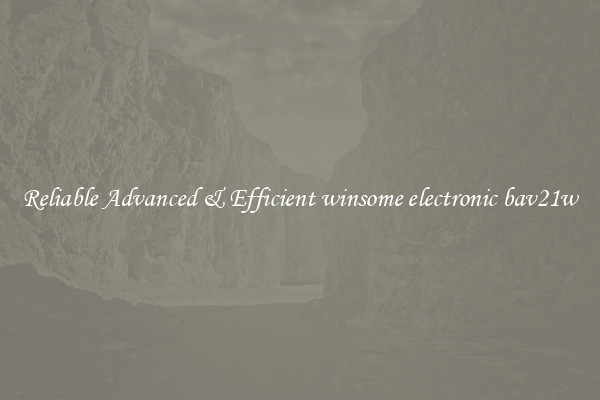 Reliable Advanced & Efficient winsome electronic bav21w