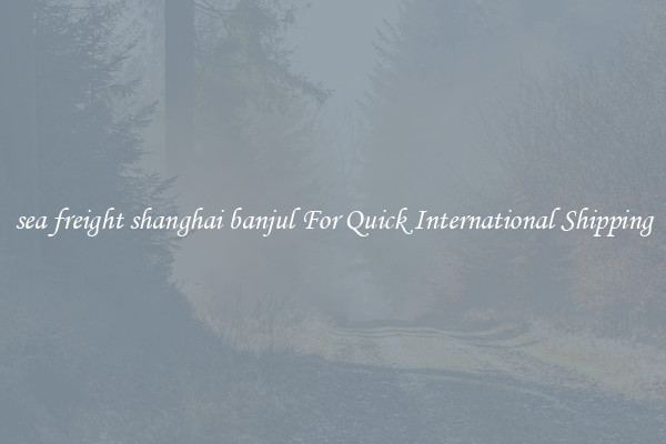 sea freight shanghai banjul For Quick International Shipping