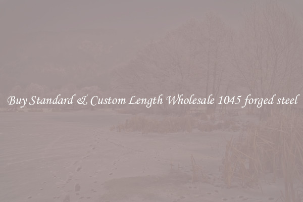 Buy Standard & Custom Length Wholesale 1045 forged steel
