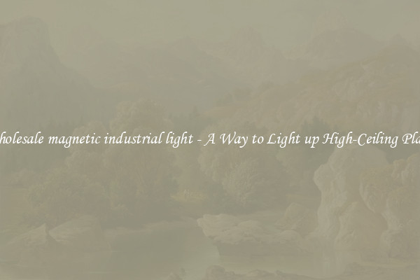 Wholesale magnetic industrial light - A Way to Light up High-Ceiling Places