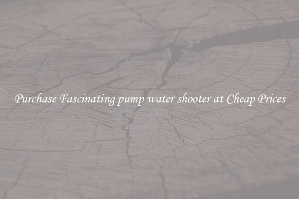 Purchase Fascinating pump water shooter at Cheap Prices