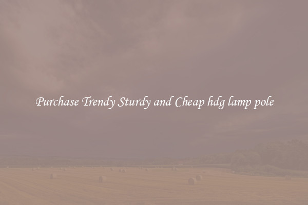 Purchase Trendy Sturdy and Cheap hdg lamp pole